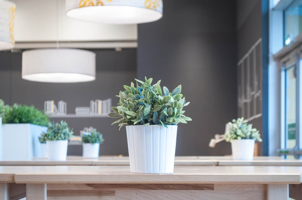 Saiba como usar plantas artificiais na decoração | Blog Pointer  Revestimentos Cerâmicos