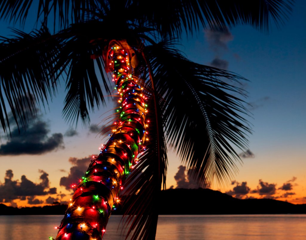 Natal tropical: como criar uma decoração brasileira | Blog Pointer ...