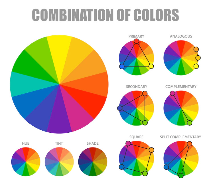 cores opostas  Circulo das cores, Cores opostas, Cores